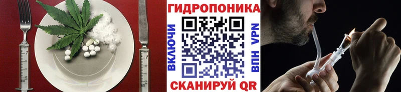 Cannafood конопля  Соликамск 