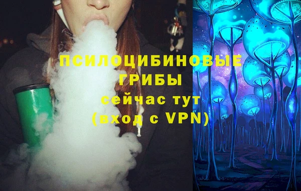 соль ск Алексин