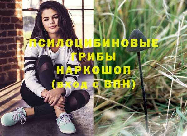 крисы Алексеевка