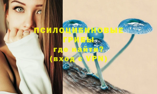 не бодяженный Абаза
