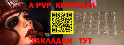 шишки Дубна