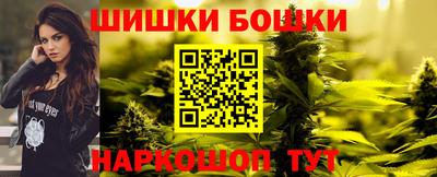 шишки Дубна
