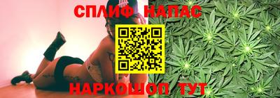 шишки Дубна