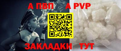 шишки Дубна