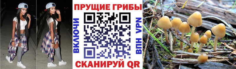 Псилоцибиновые грибы MAGIC MUSHROOMS  Соликамск 