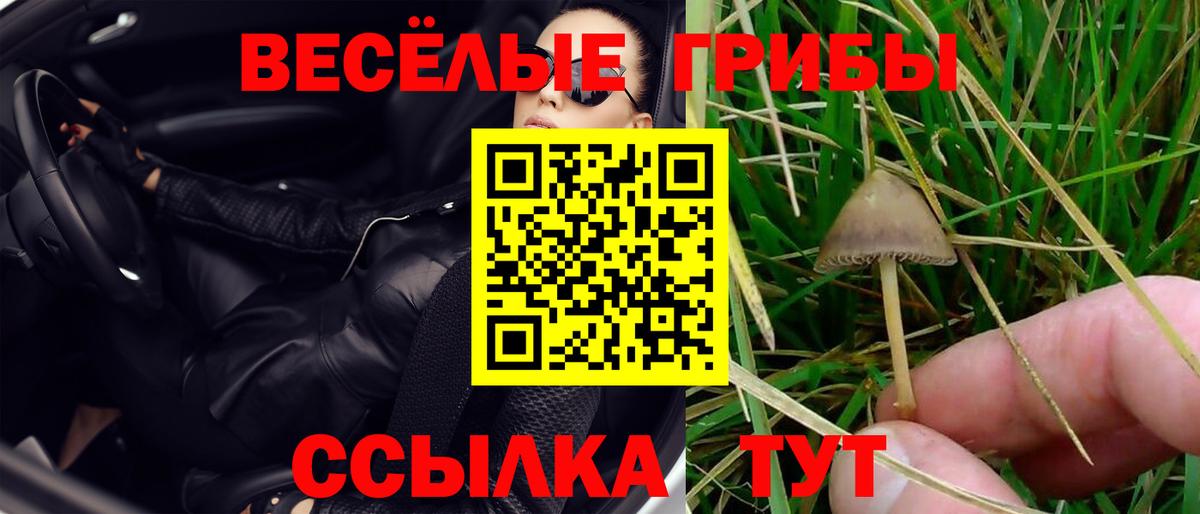 Псилоцибиновые грибы ЛСД  Галлюциногенные грибы Psilocybine cubensis  Соликамск  Вход с VPN 